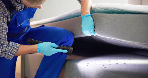 Reliable Edwards, MS Pest Control Solutions